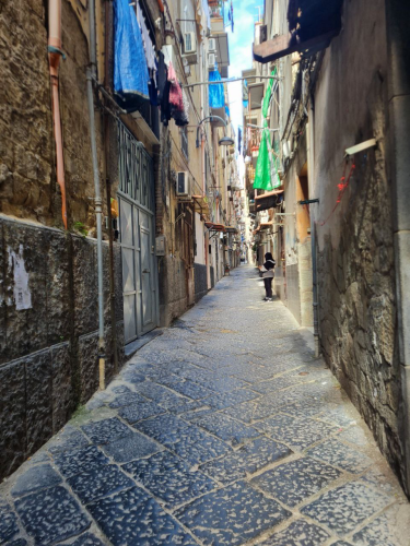 file_076